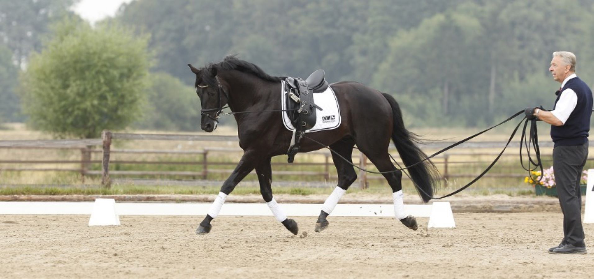 Доппель лонжа (двойная корда) от Stable.by