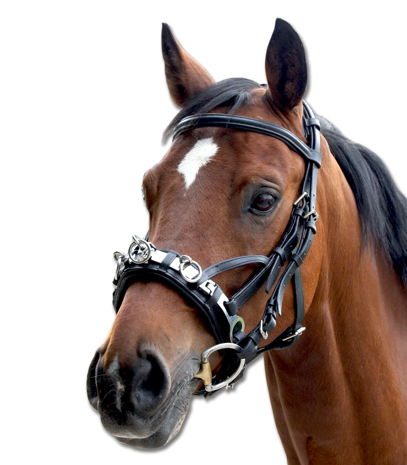 Капцунг (кавессон кожаный) от Stable.by