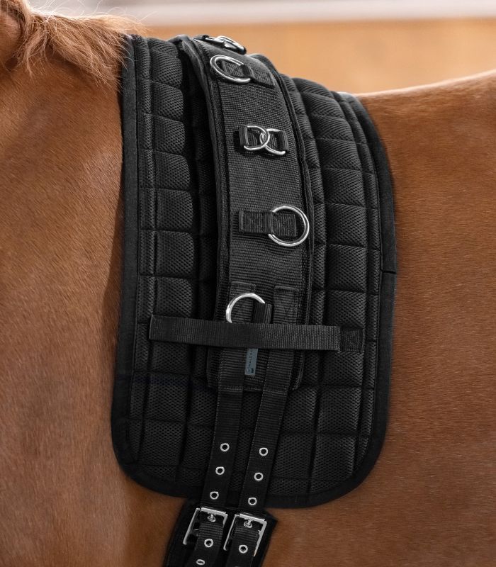 Гурта лонжировочная Суперсофт от Stable.by