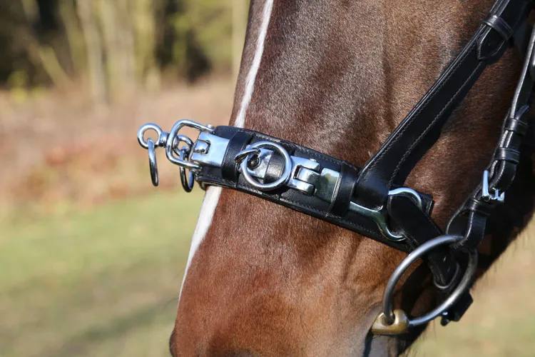 Капцунг (кавессон кожаный) от Stable.by