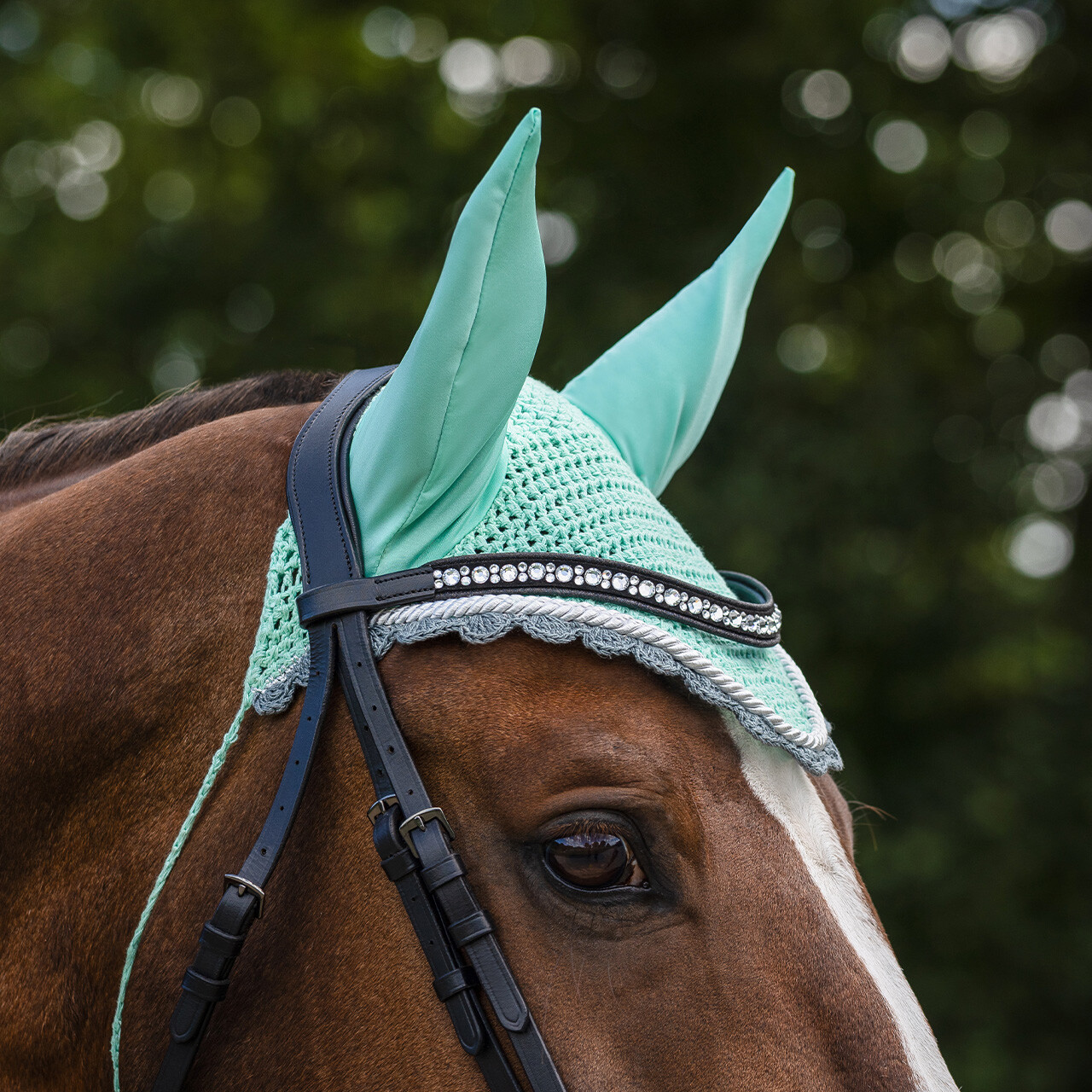 Ушки Колор от Stable.by