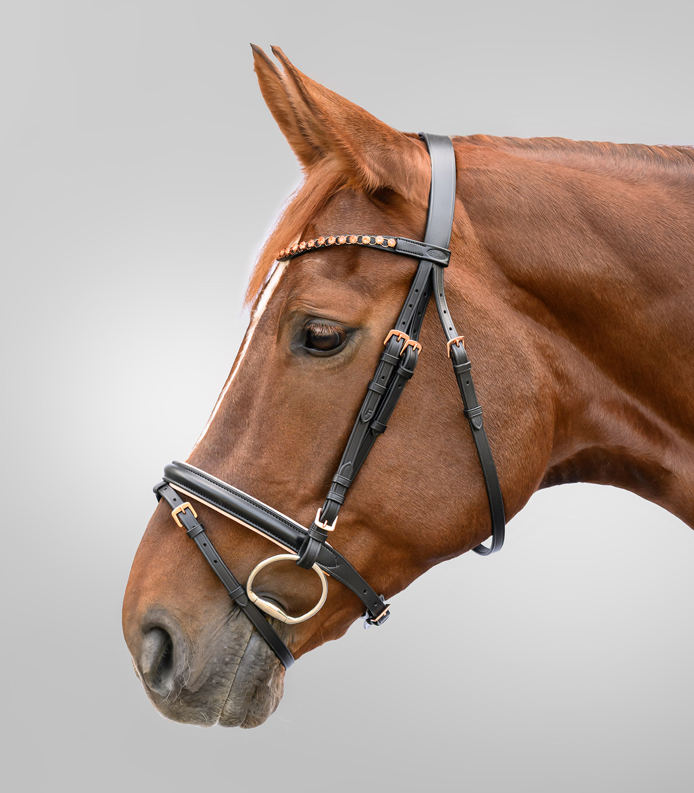 Оголовье трензельное Розеголд от Stable.by