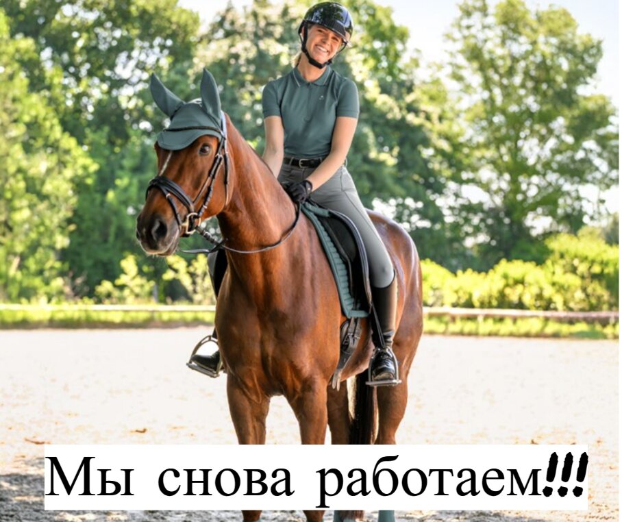 Снова работаем