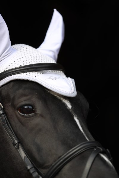 Ушки для лошади Empara от Stable.by