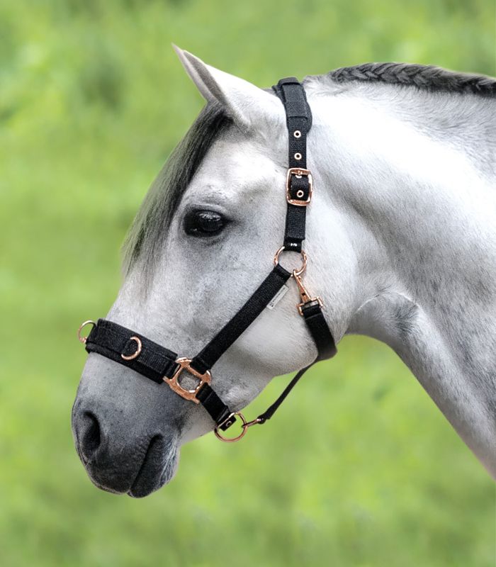 Кавессон Розовое золото от Stable.by