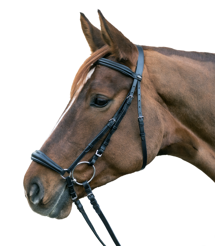Оголовье с Гановерским капсюлем от Stable.by