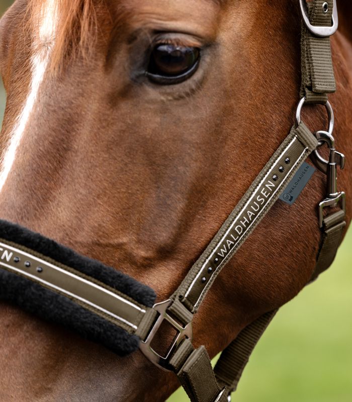 Недоуздок Элегант от Stable.by