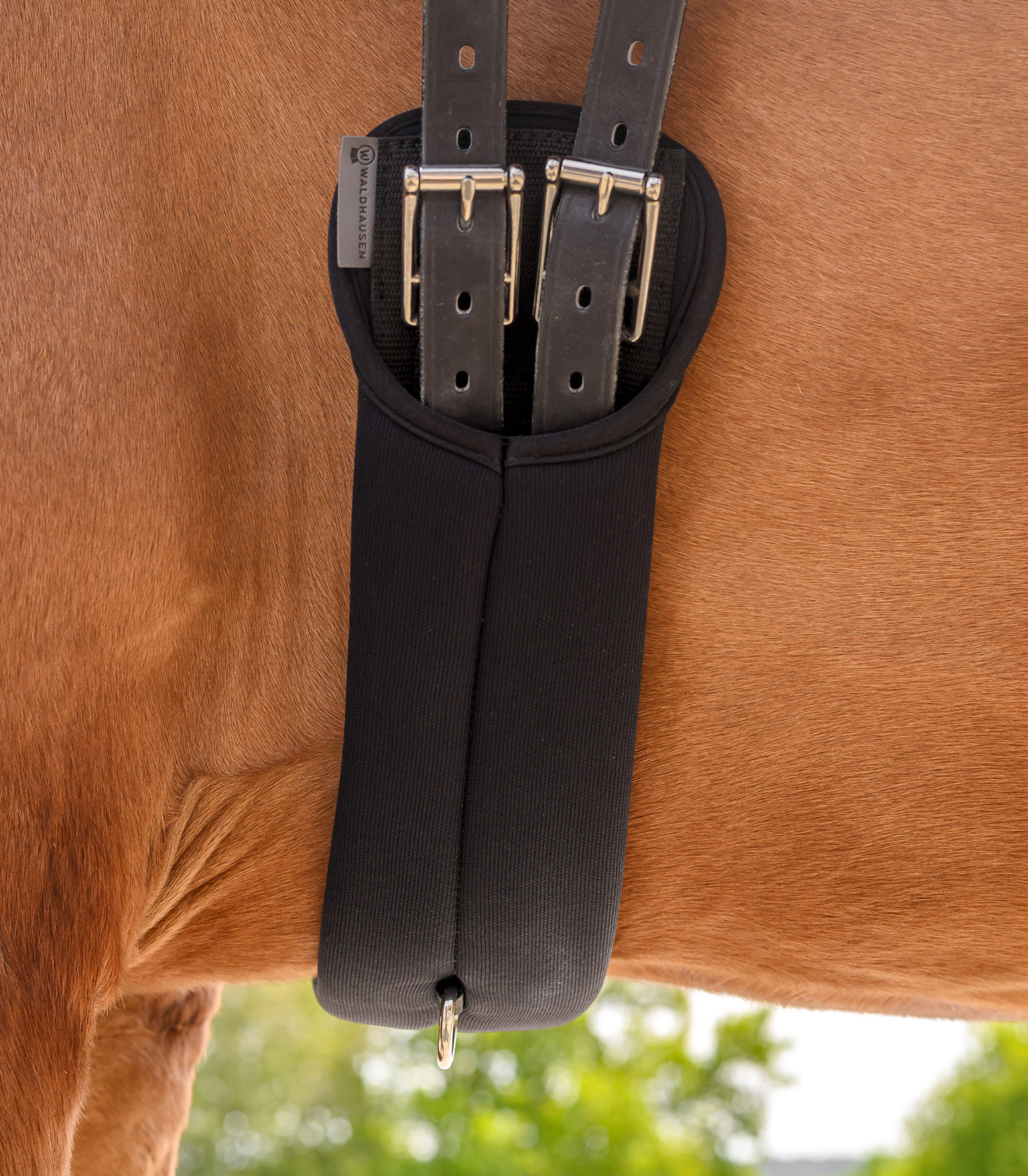 Подпруга с эффектом памяти от Stable.by