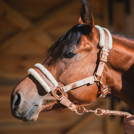 Чумбур Хорс Энжой Жемчуг от Stable.by