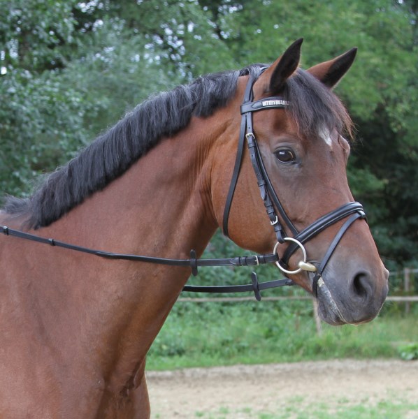 Поводья тесьмяные классические со стопорками от Stable.by