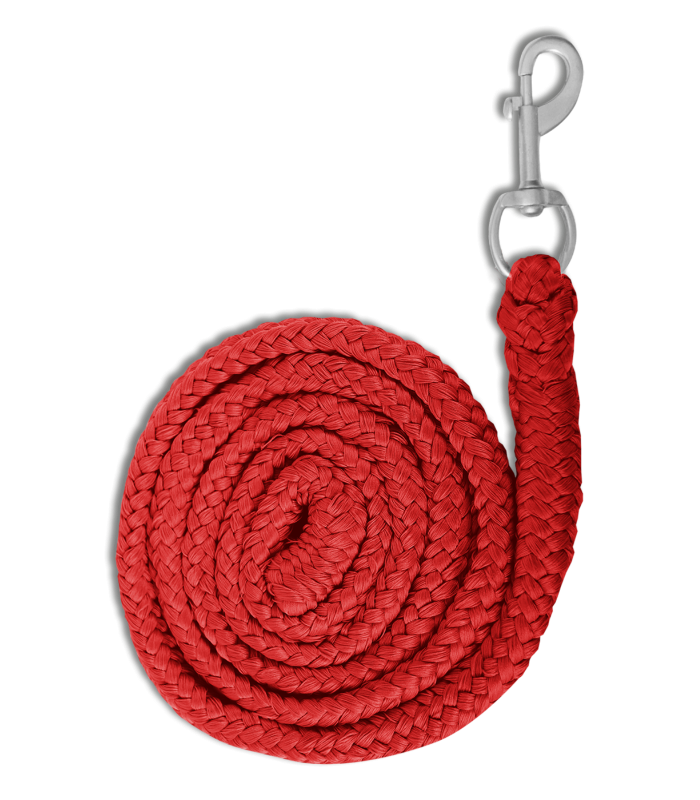 Чумбур Экономик с карабином от Stable.by