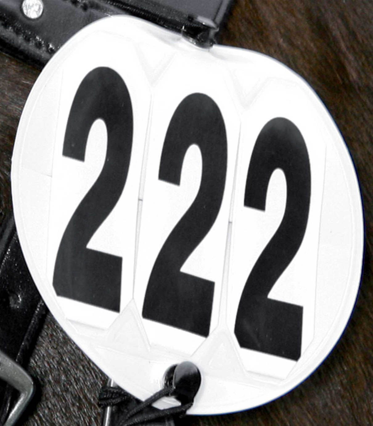 Номер турнирный для оголовья от Stable.by