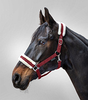 Недоуздок Фирст от Stable.by