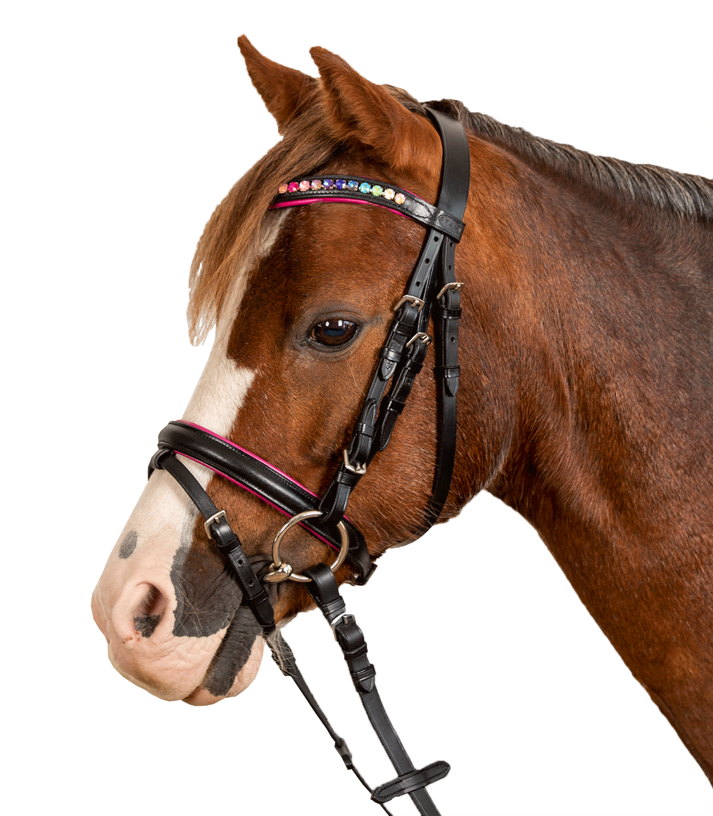 Оголовье трензельное Пинки Стар  от Stable.by