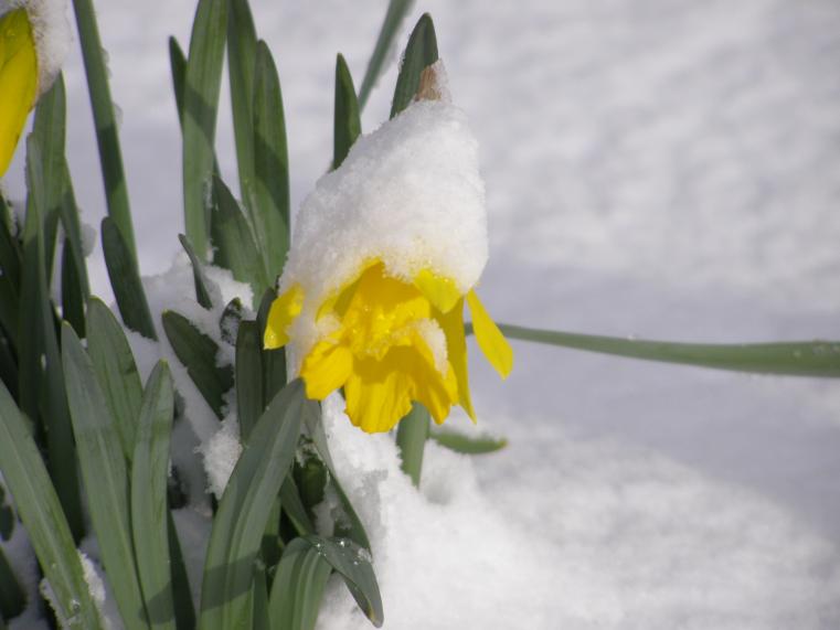 Скоро весна!