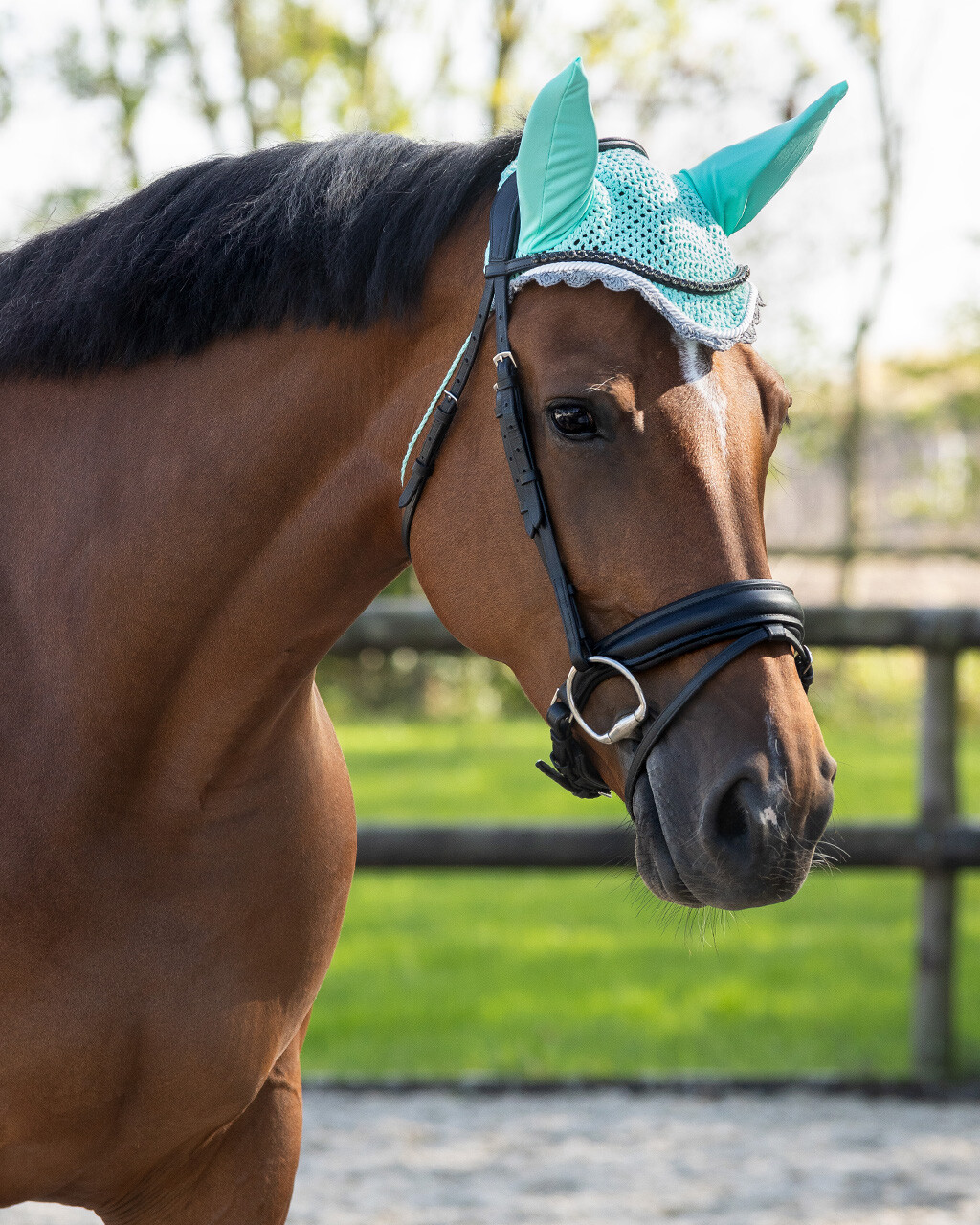 Ушки Колор от Stable.by