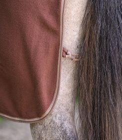 Попона флисовая с кросс ремнями Экономик от Stable.by