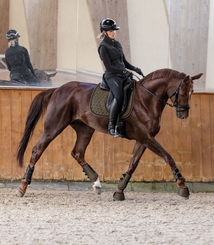 Вальтрап Филадельфия от Stable.by